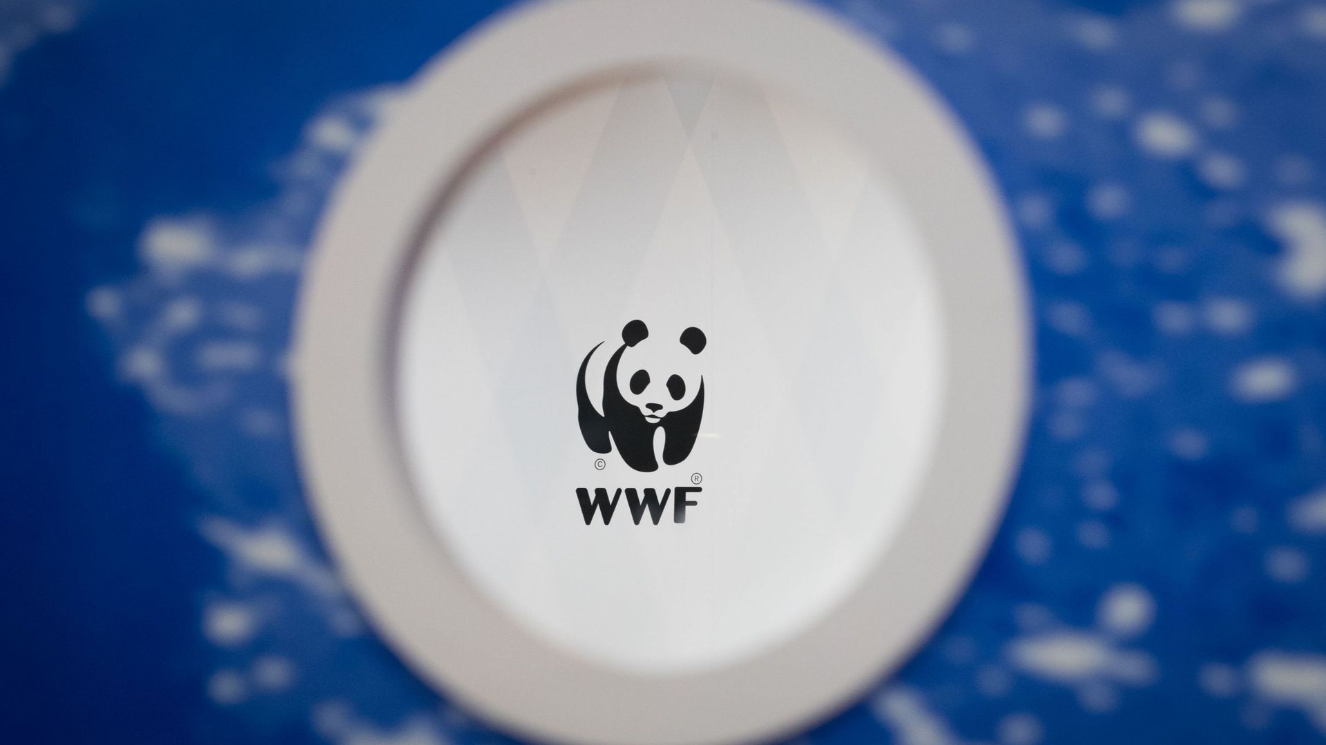 Le WWF compte plus de cinq millions de membres, donateurs et donatrices, au sein d'un réseau mondial actif dans une centaine de pays.