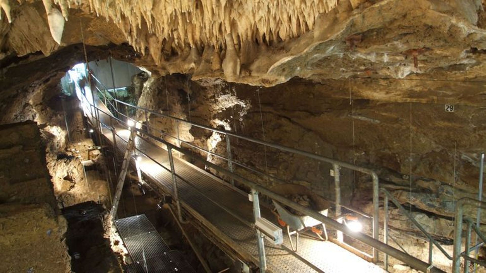 La Wallonie et le Néandertal : la grotte Scladina, un site archéologique permanent et… ouvert au public