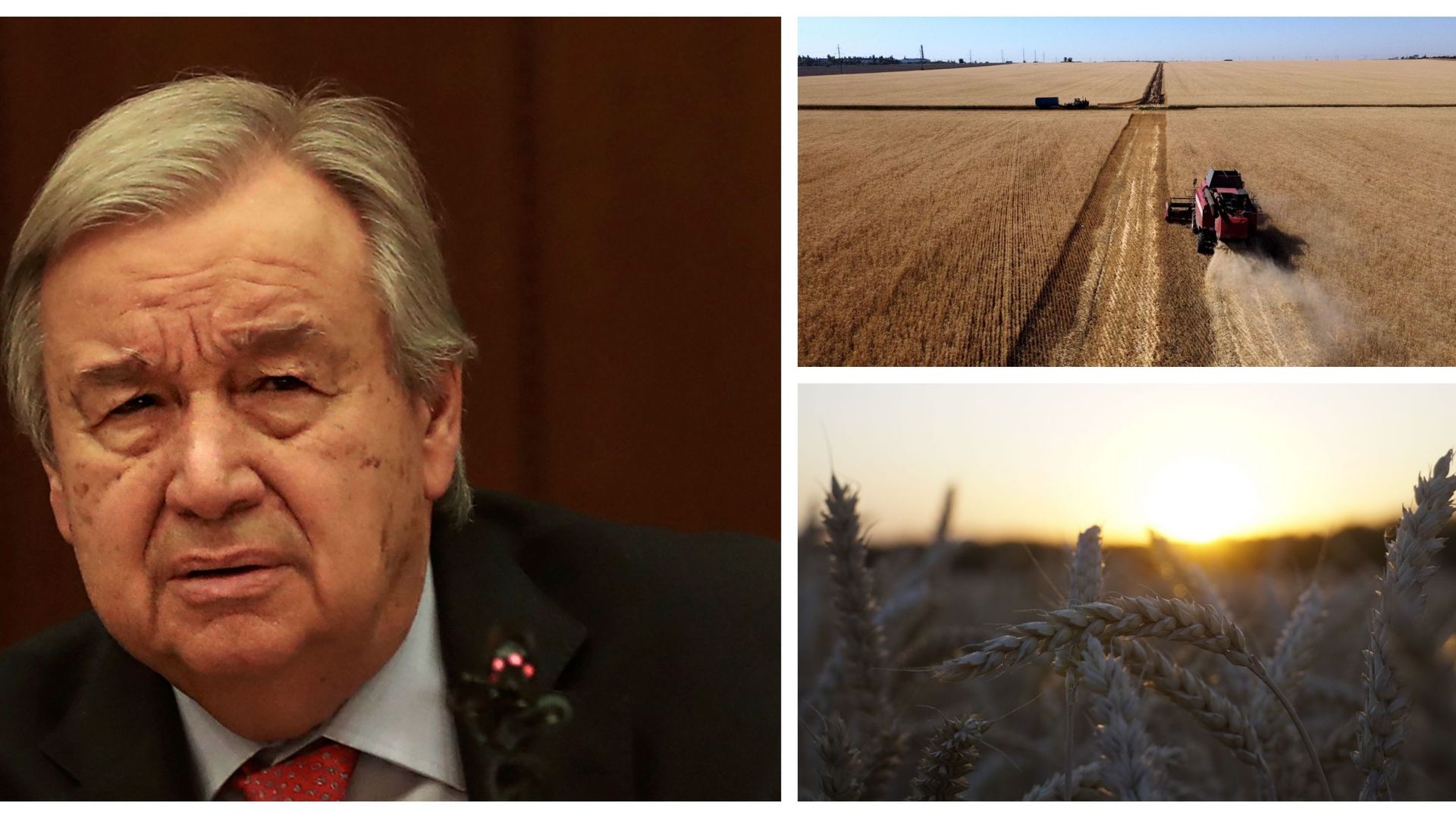 Antonio Guterres en mars 2023 et champs de blé dans la région de Kramatorsk en juillet dernier