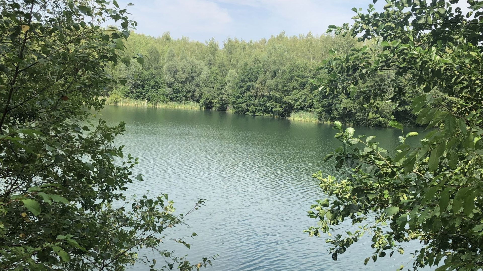 L’étang du Pircha, dans la région de Charleroi.
