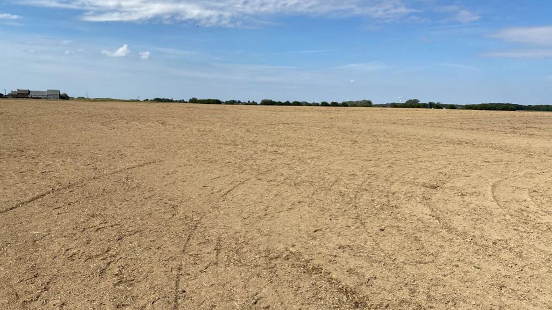 Agriculture: à cause de la sécheresse, l'implantation du couvert est un échec