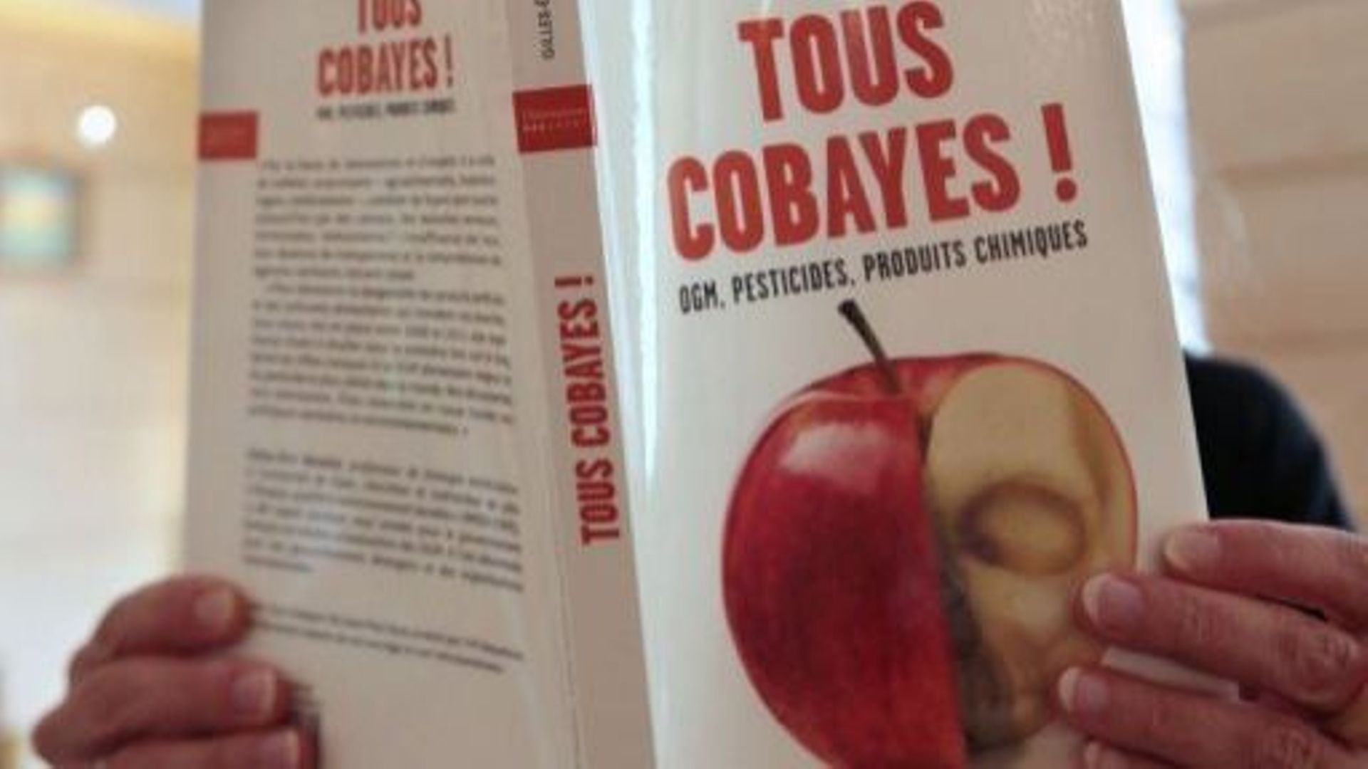 Une personne lit l'ouvrage de Gilles-Eric Séralini "Tous cobayes", à Paris le 28 septembre 2012