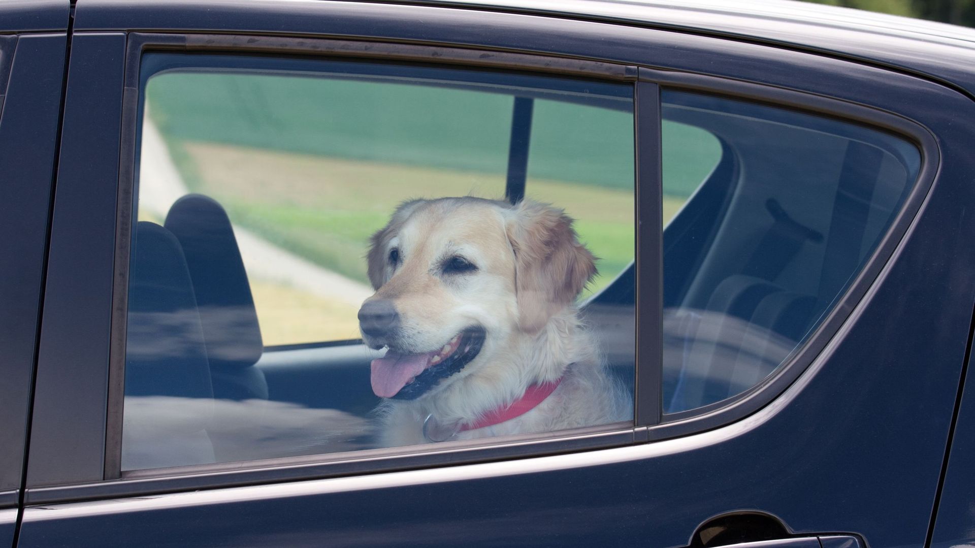 Fortes chaleurs : que faire si vous trouvez un enfant ou un animal dans une voiture ?