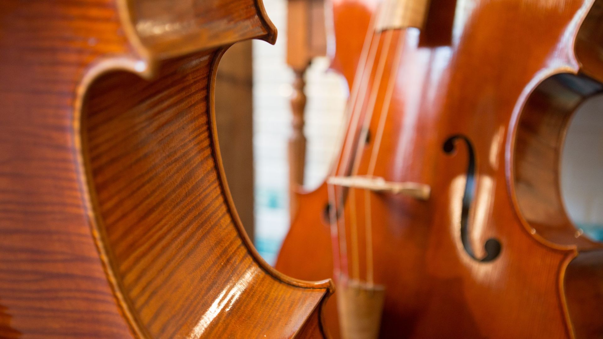 Archives du Concours Reine Elisabeth : pourquoi mettre à l’honneur le violoncelle ?