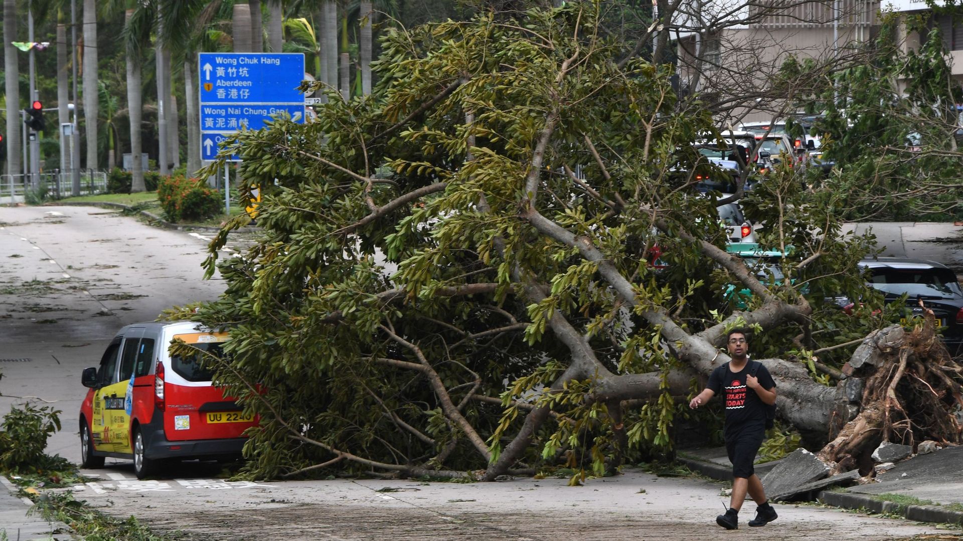 Un taxi endommagé par un arbre à Hong Kong