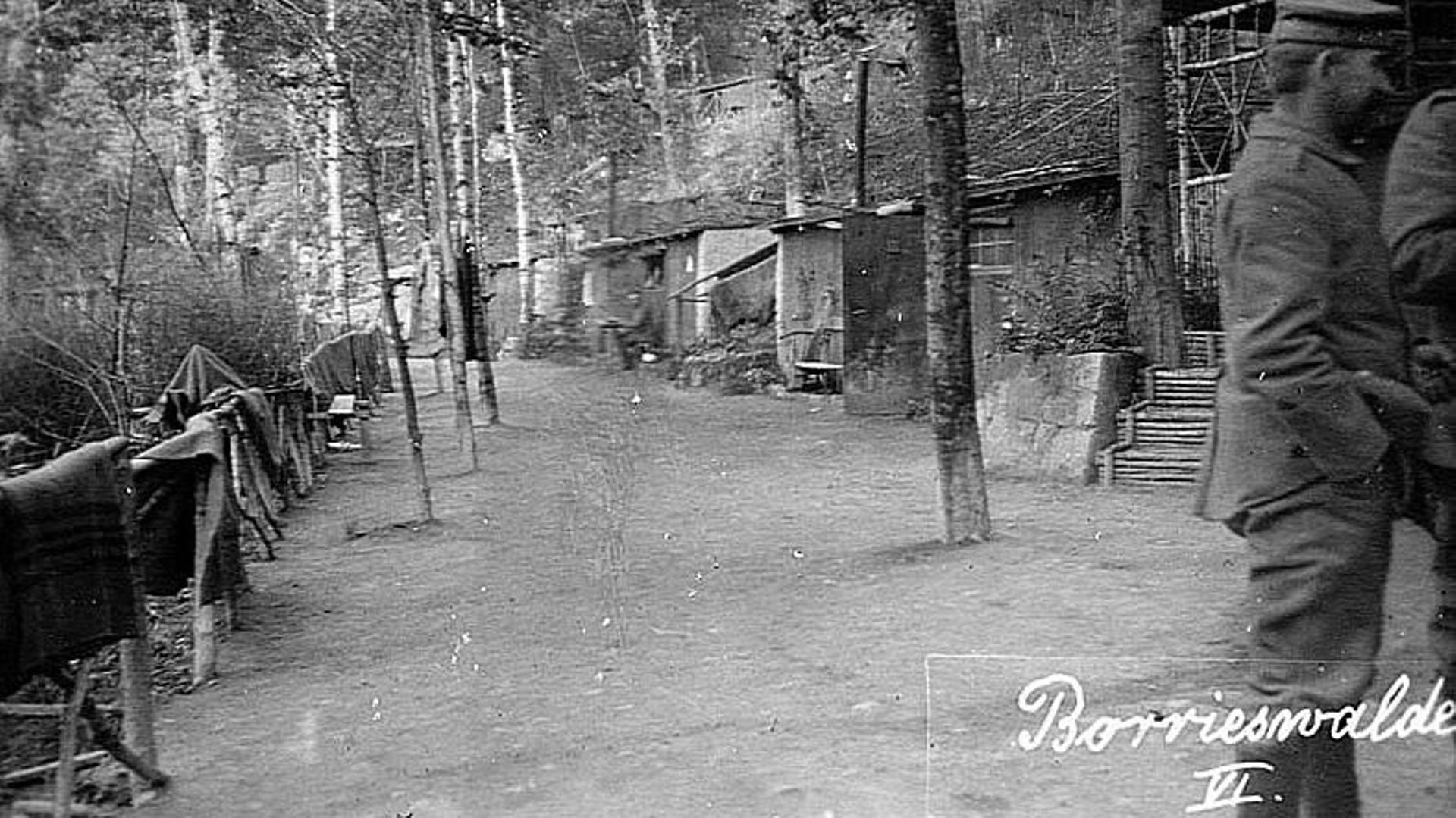 Carte postale du camp de Borrieswald, 1916.