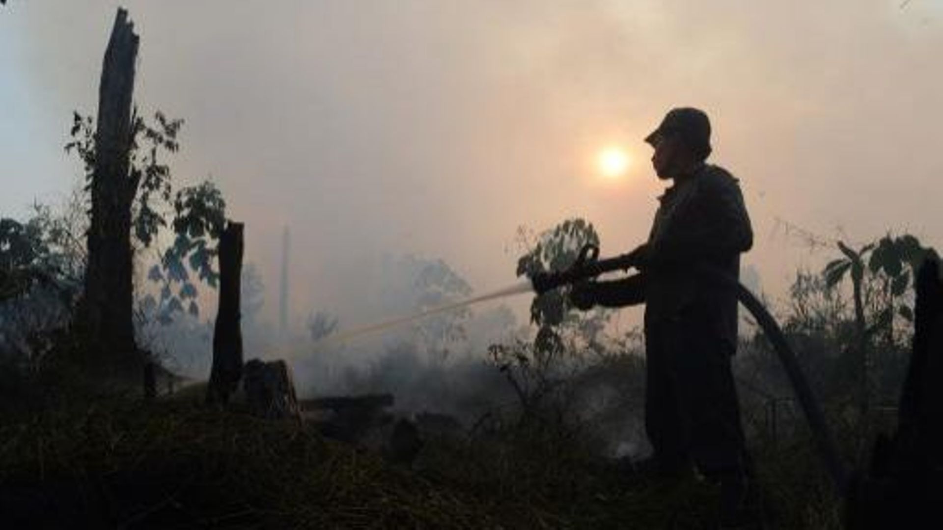 Un employé d'une concession d'huile de palme éteint le feu dans une forêt de la province de Riau, le 29 juin 2013 en Indonésie