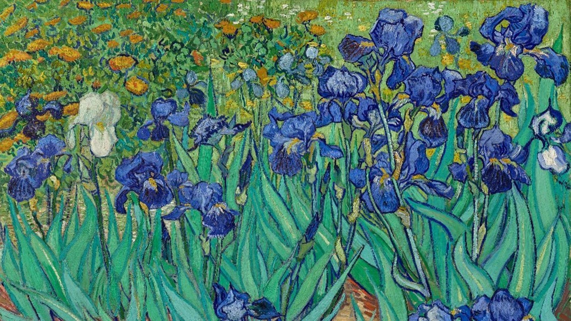 Le mystere de ce tableau de Van Gogh enfin devoile RTBF Actus