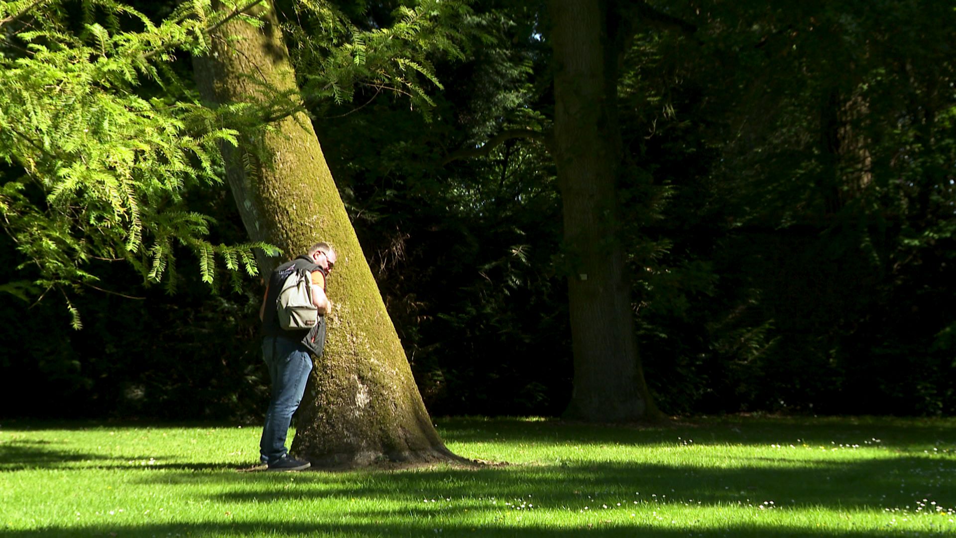 Sylvothérapie (câlinage d’arbres) à l’arboretum d’Harcourt en Normandie