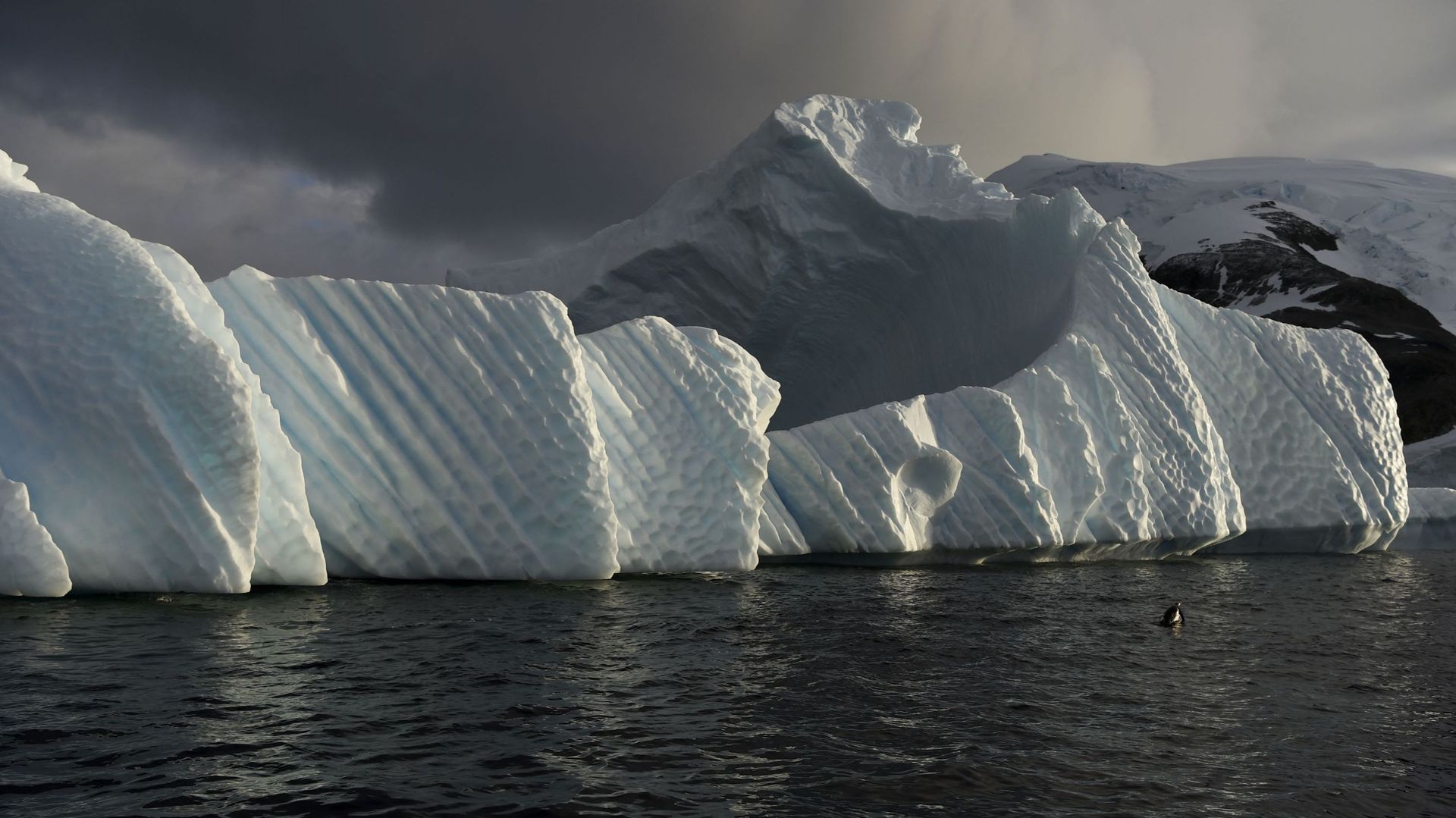 climat-des-scientifiques-belges-partent-mesurer-la-masse-de-la-calotte-antarctique