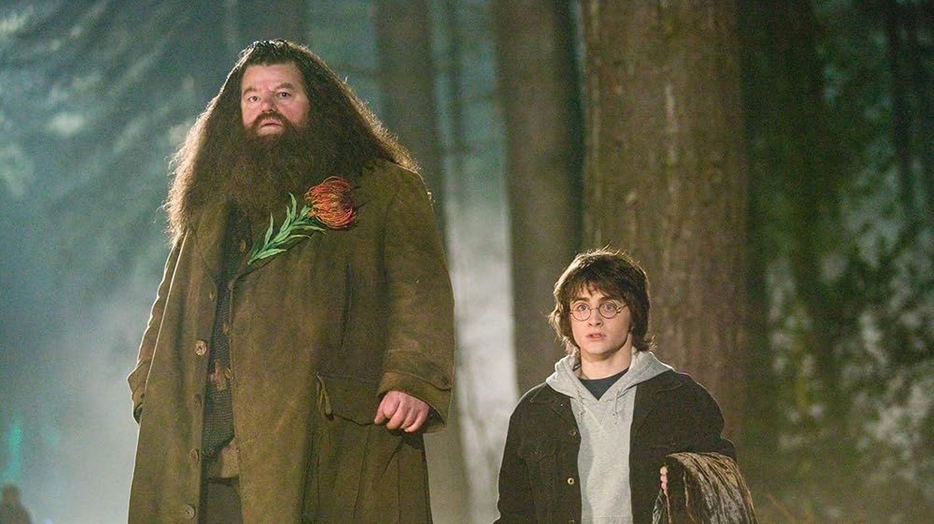 Série "Harry Potter" : voici les premières images du tournage à Londres avec Harry et Hagrid