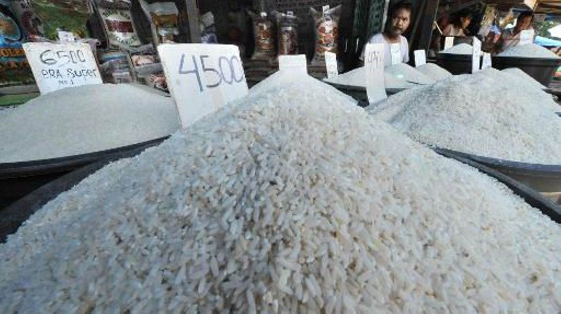 Le riz doré peut, à raison d'un bol par jour, combler le déficit en vitamine A qui affecte les populations défavorisées.