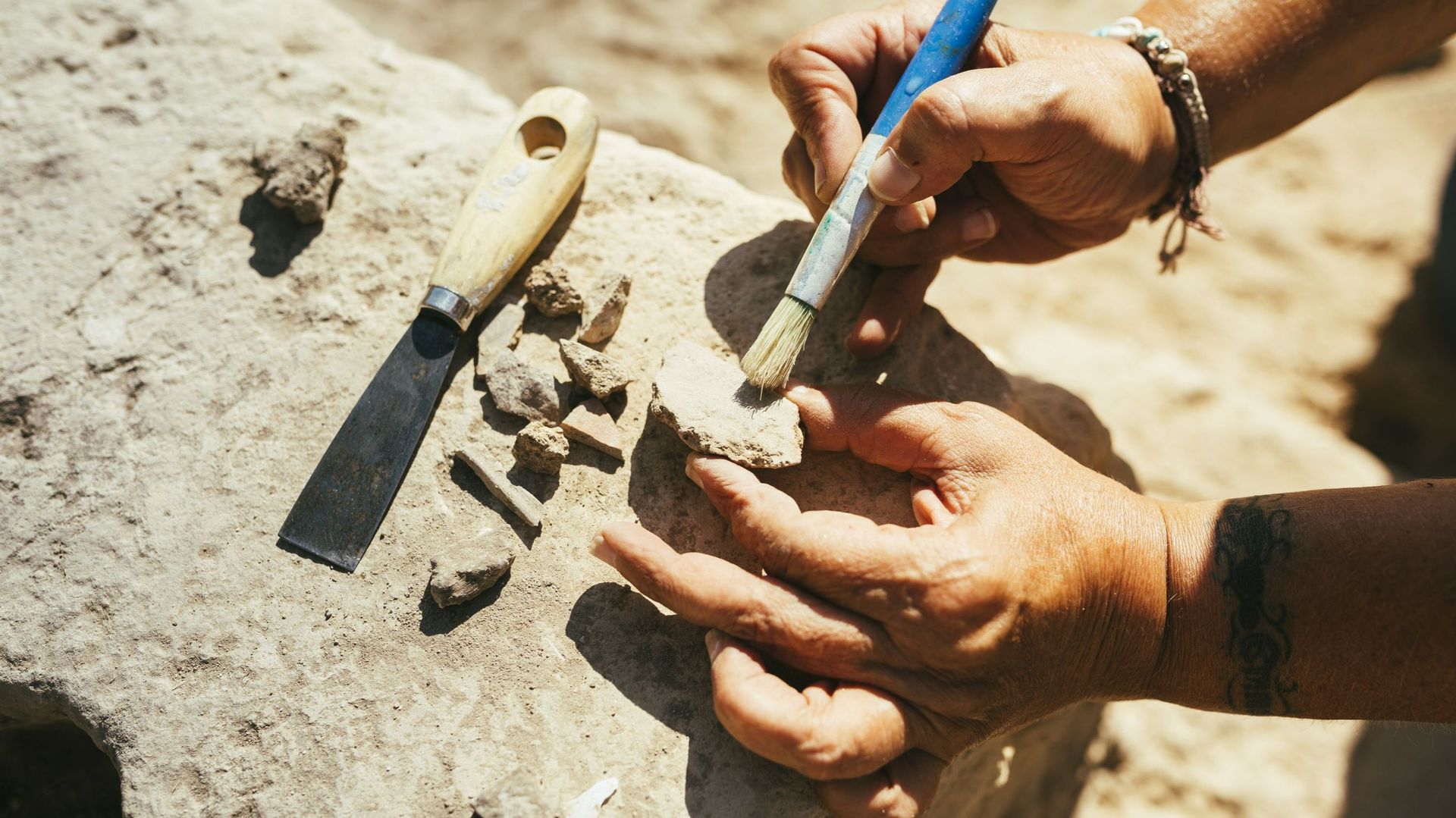 Archéologie : découverte fortuite à Heusden-Zolder (province du Limbourg) d’un site datant de 7500 avant J.-C.