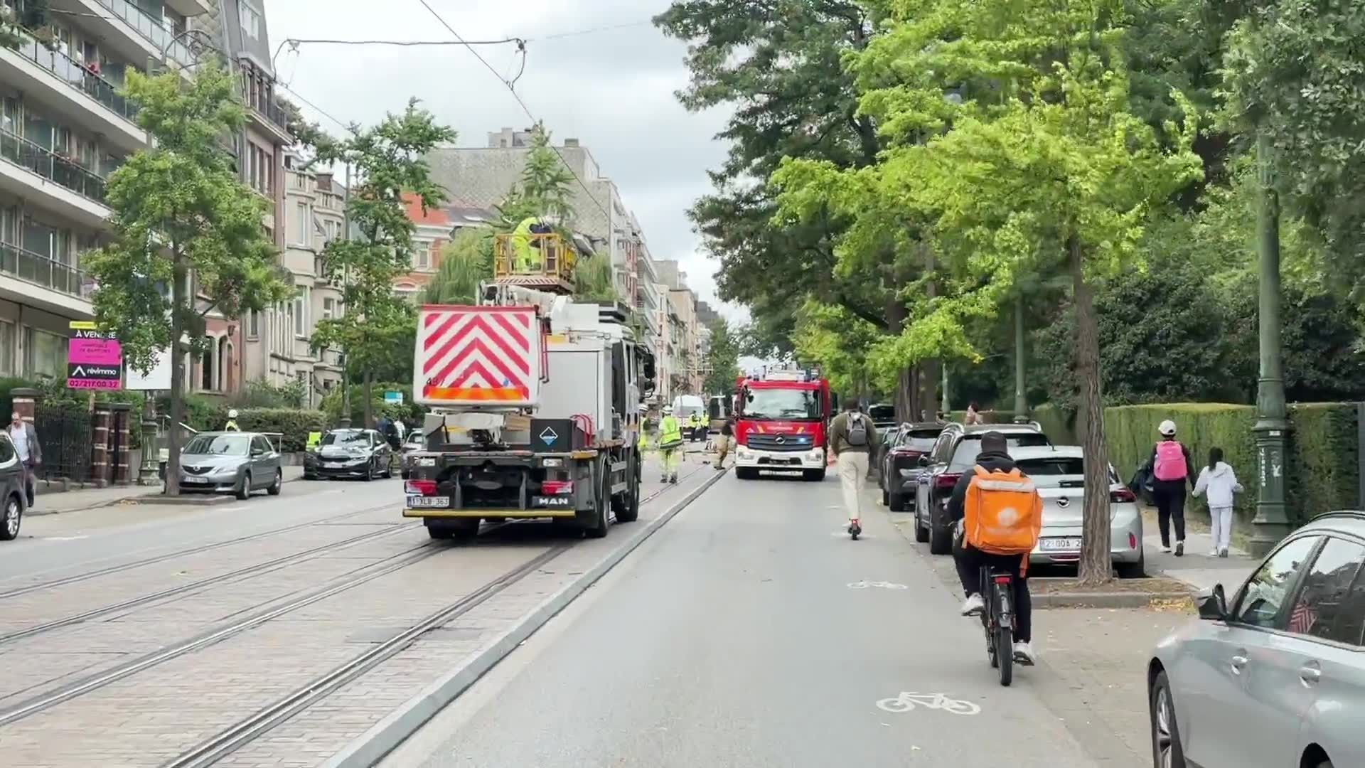 Un arbre renversé à Uccle perturbe la circulation des trams 4 et 92