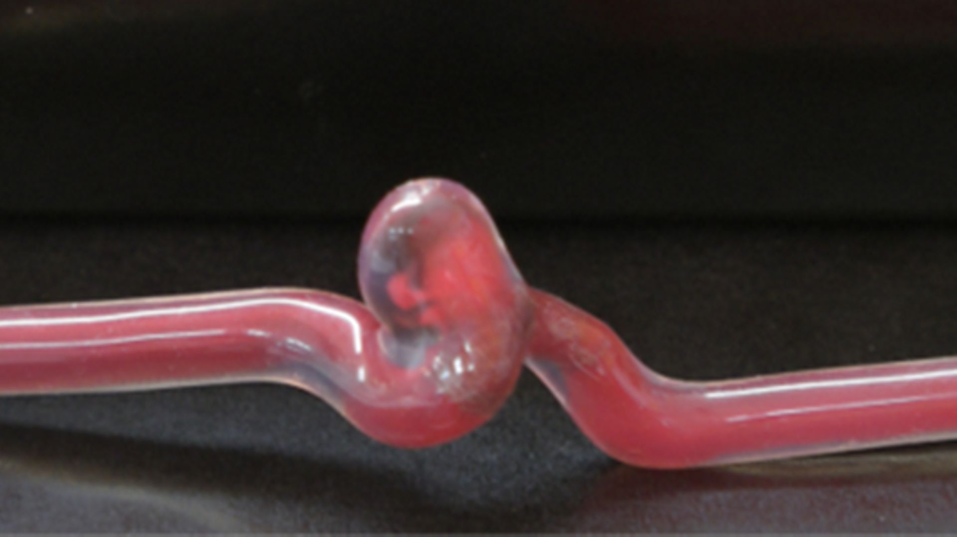 Anévrisme en silicone avec flux sanguin pulsatile physiologique