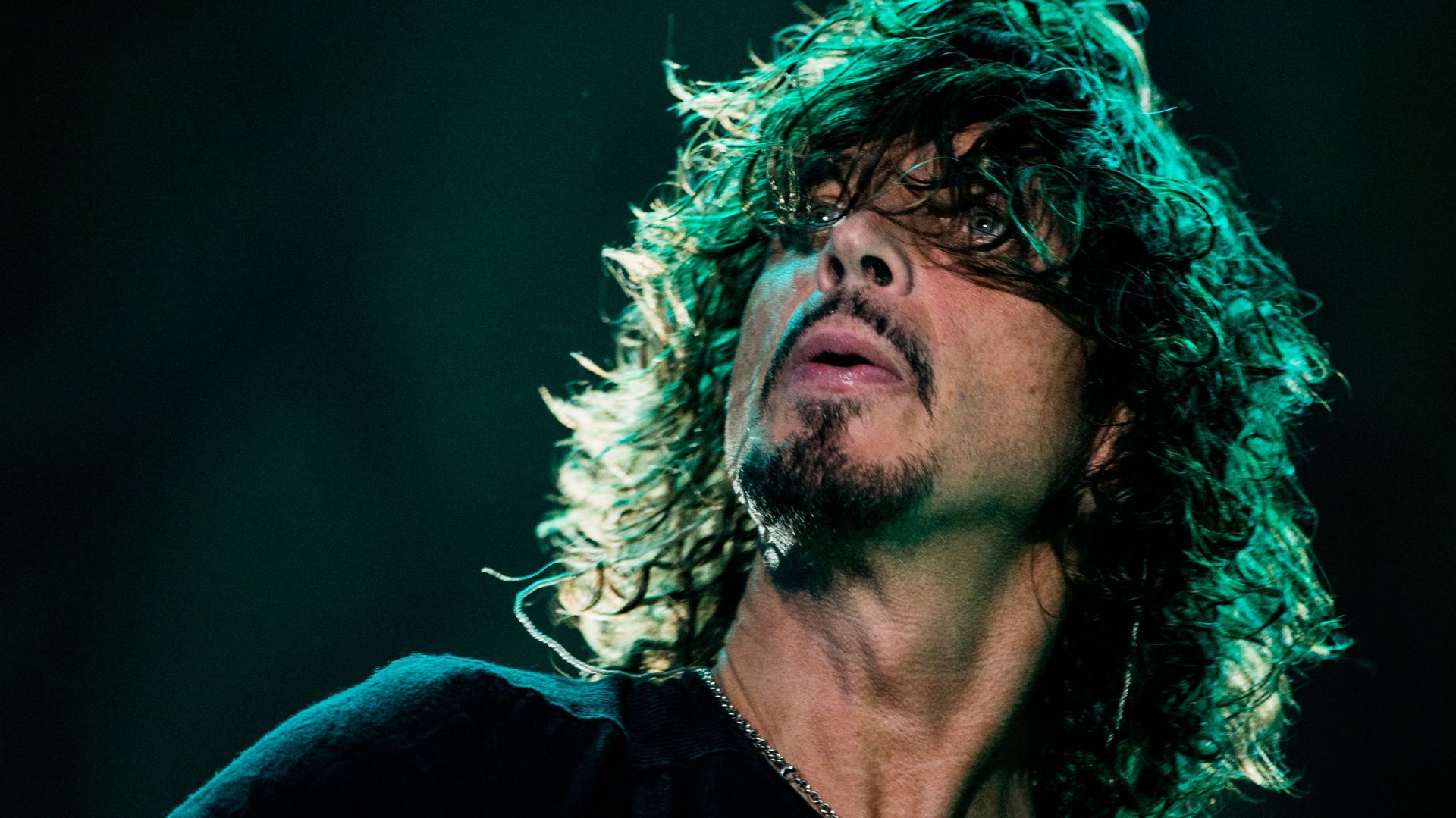 A qui reviendra la propriété du nouveau Soundgarden ?