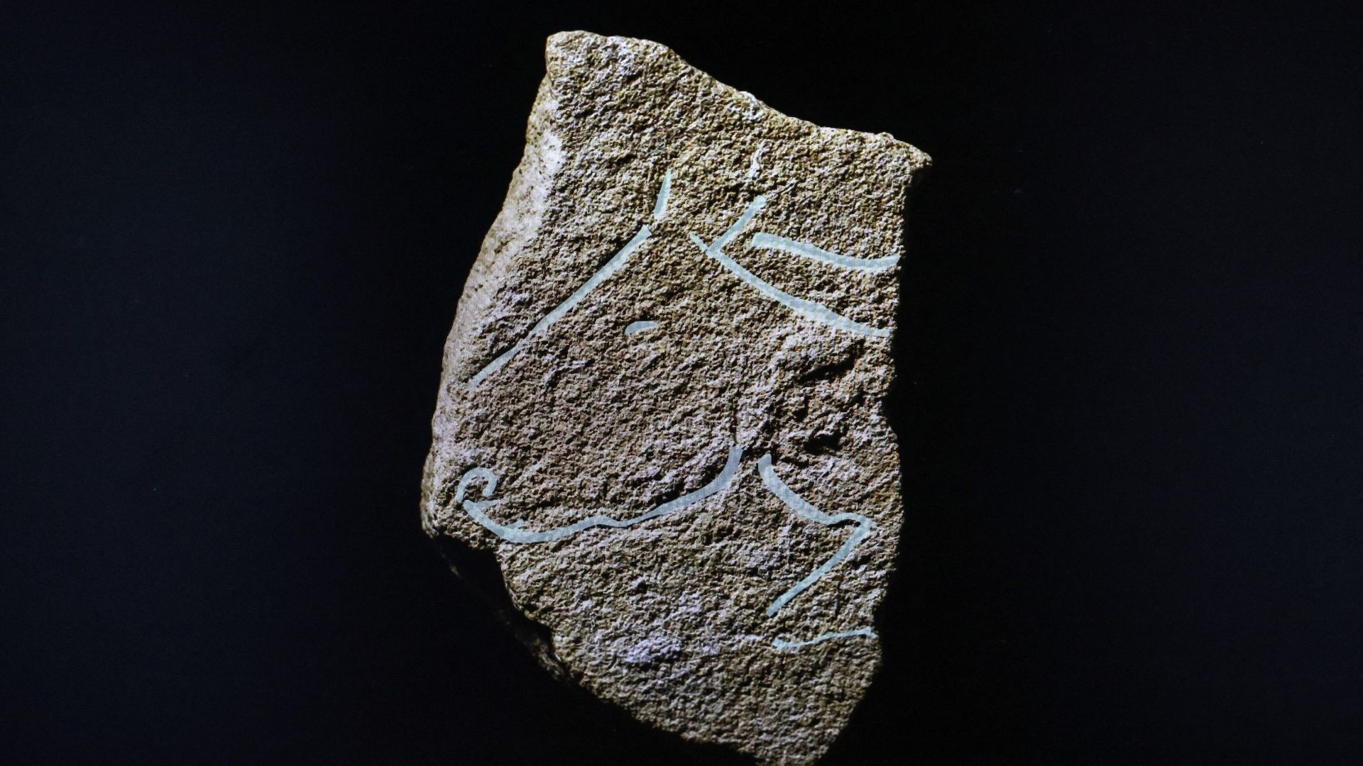 Une plaque gravée représentant un profil de cheval datant du tout début du Magdelanien (- 20 000 ans), le 30 mars 2023, découverte lors de fouilles sur le site de Bellegarde, dans le sud de la France
