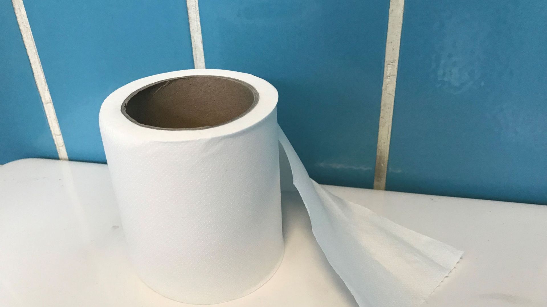 Le papier toilette participe à la déforestation