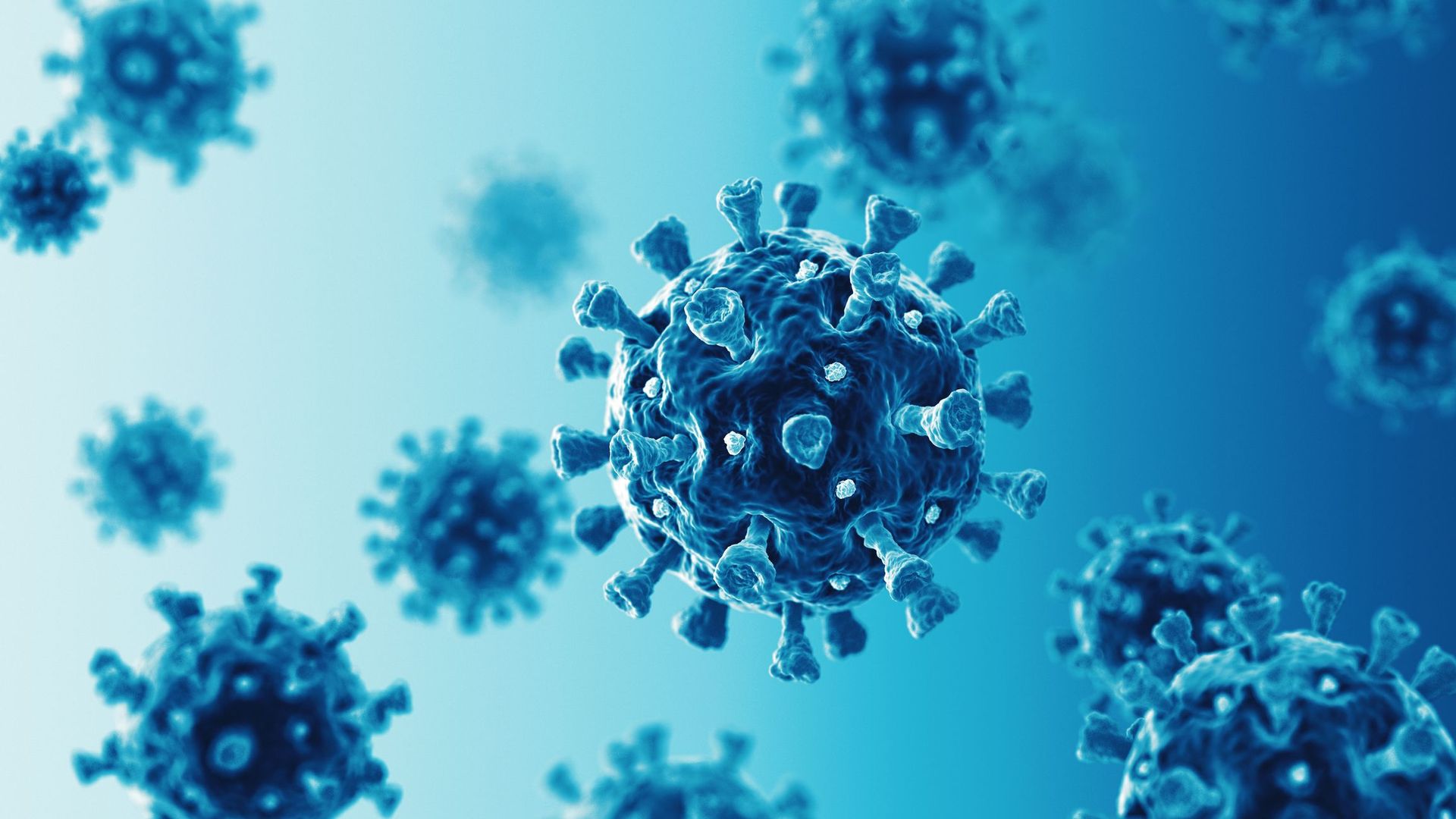 Coronavirus en Belgique : Sciensano ne publiera plus de bilan du coronavirus les week-ends et le lundi