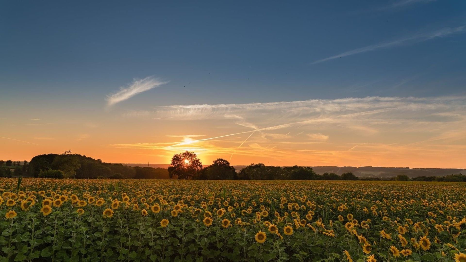 Bilan météo de juillet : pression atmosphérique record et conséquences remarquables - RTBF