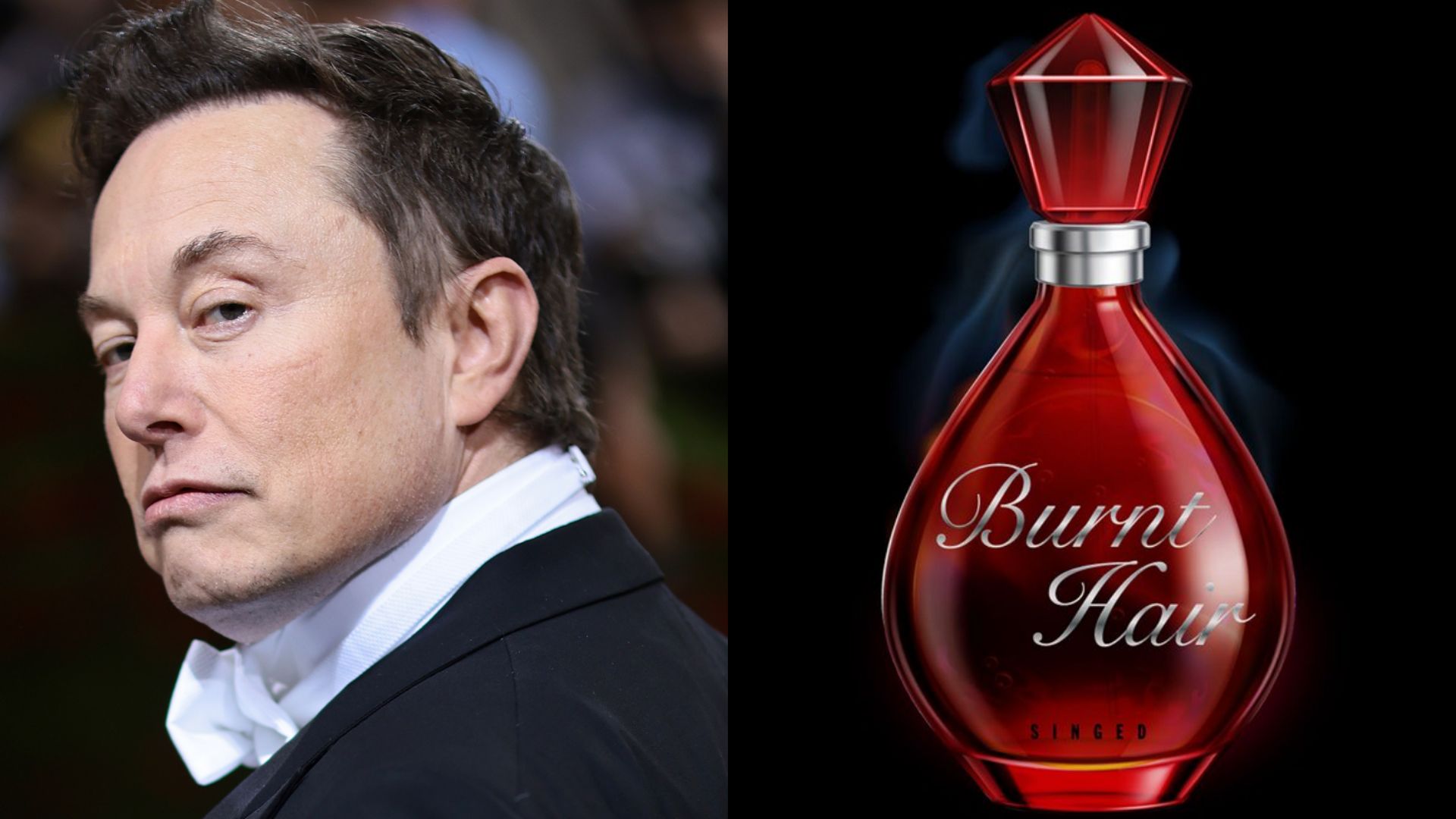 Elon Musk parfum