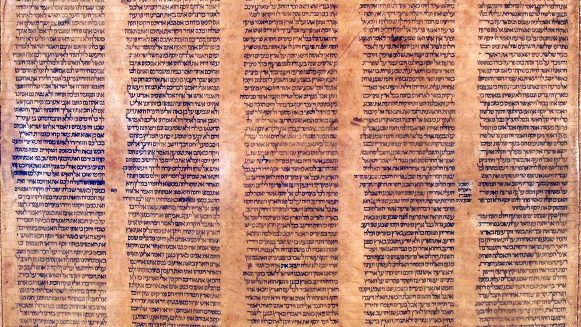 La plus vieille Torah du monde retrouvée à Bologne