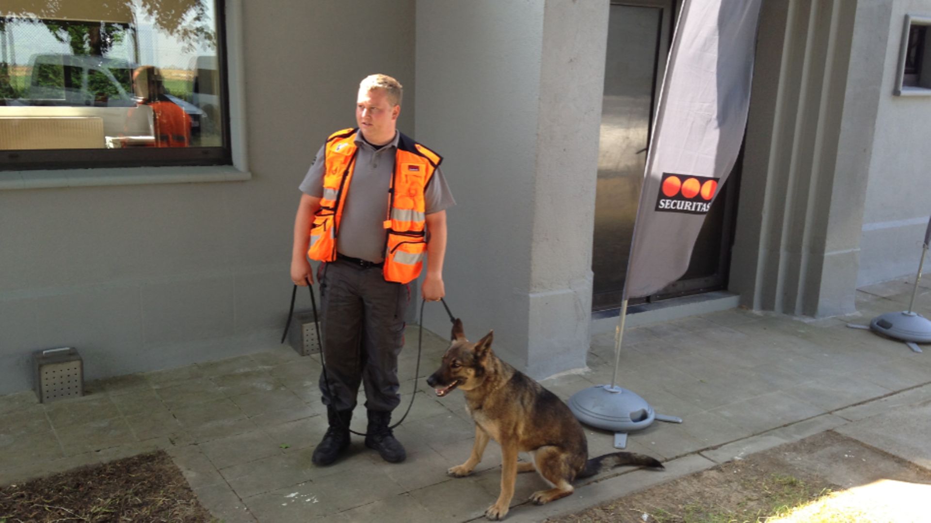 Des chiens détecteurs d'explosifs sont maintenant disponibles en permanence à Liège-Airport.