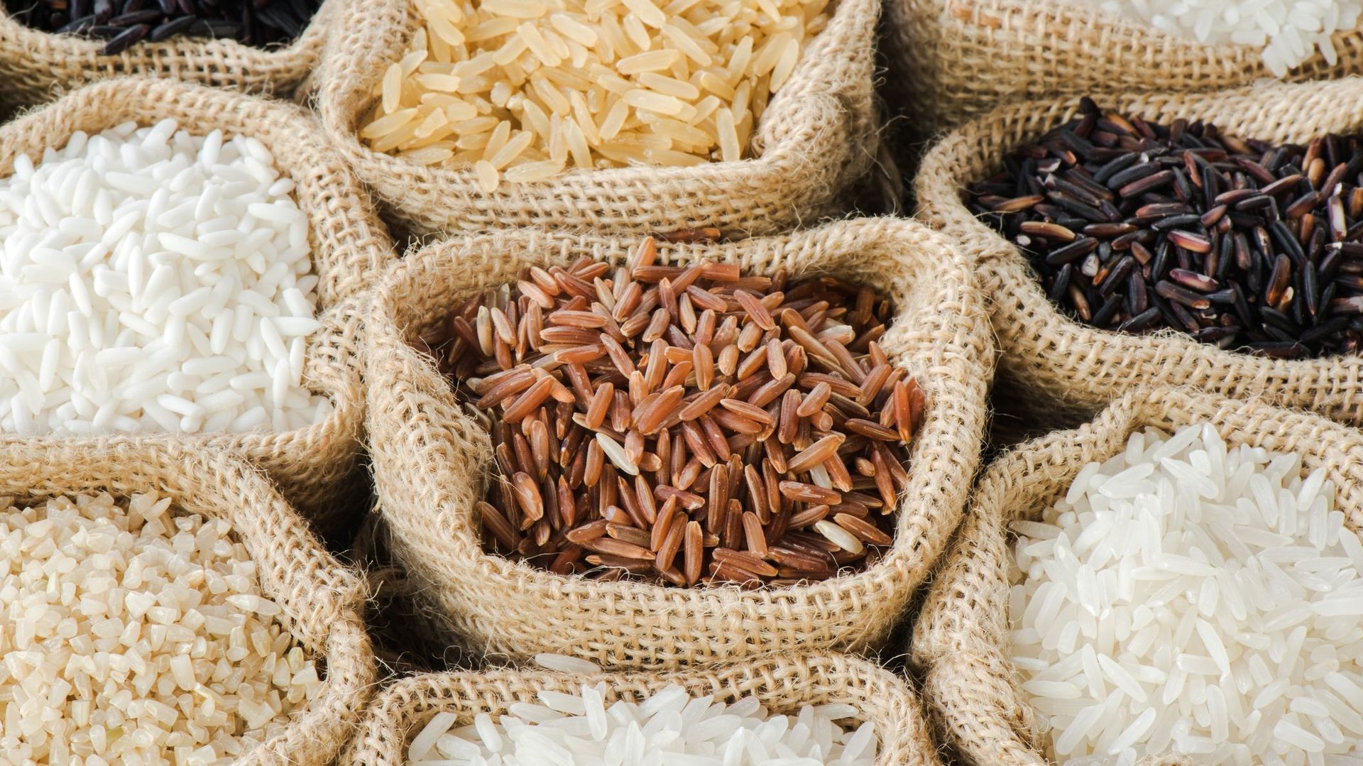 Le riz une céréale aux multiples facettes RTBF Actus