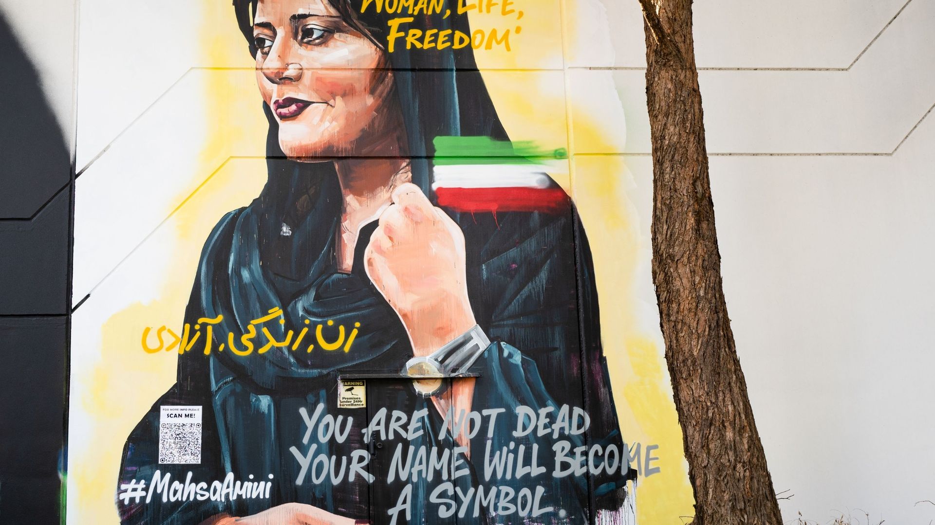 Mahsa Amini, décédée à Téhéran après son arrestation par la police des mœurs, le 16 septembre 2022, est devenue l’icône du mouvement de contestation anti-régime en Iran.