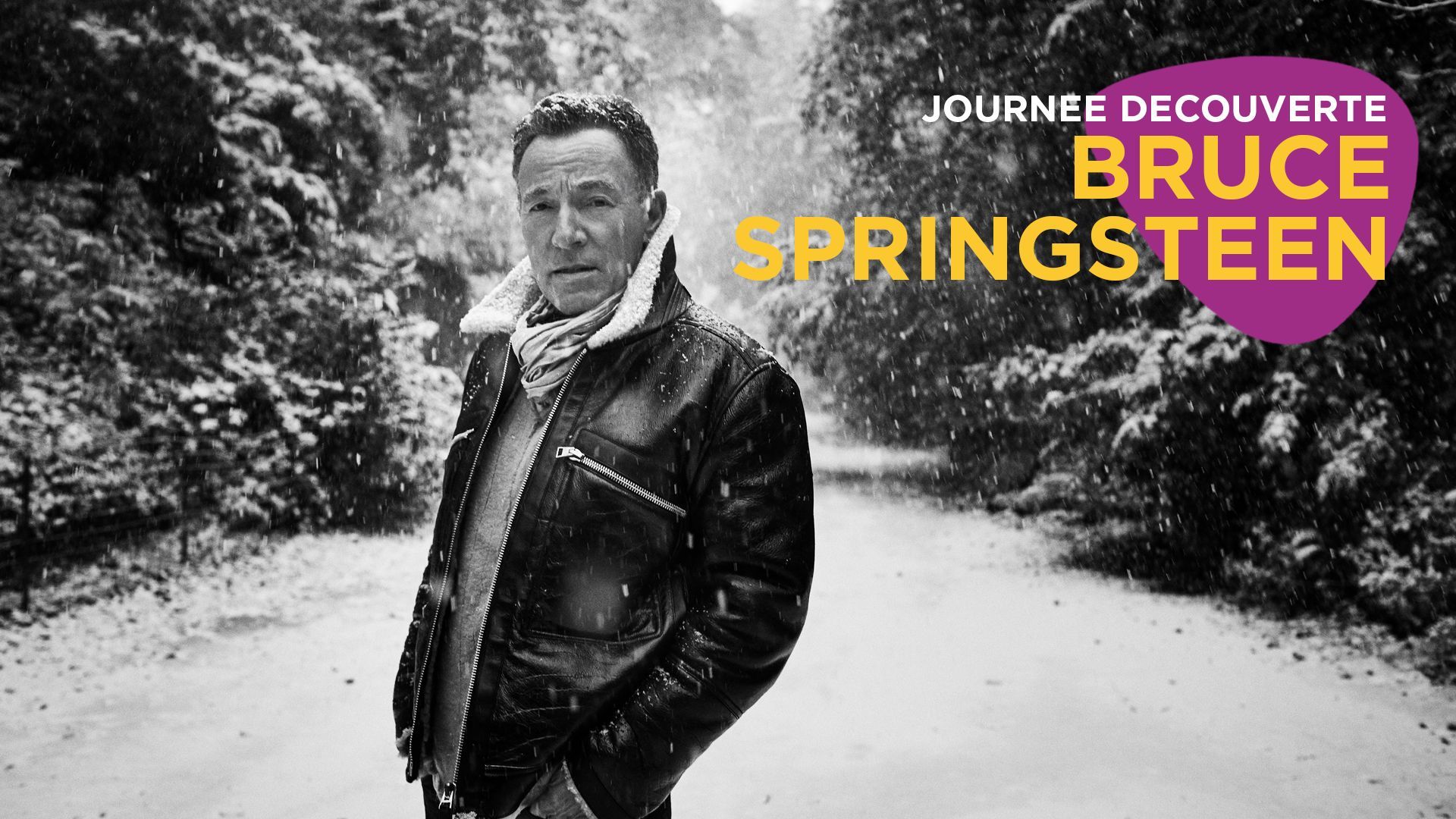 Bruce Springsteen's Letter To You : journée découverte