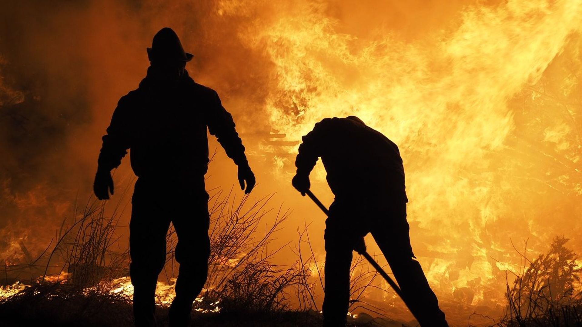 Ces feux qui à la fois sont provoqués par la crise écologique et qui y contribuent