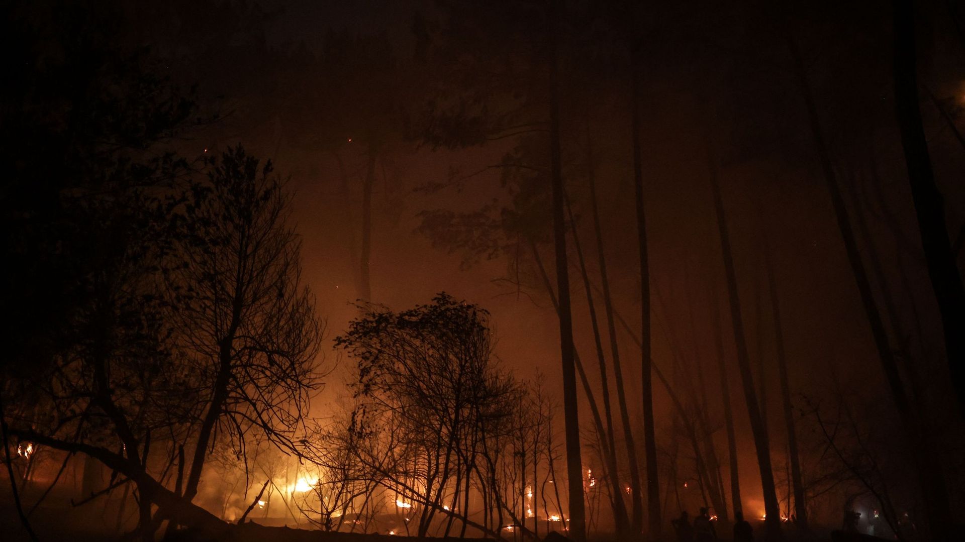 Plus de 9.000 hectares ont brûlé en Gironde.