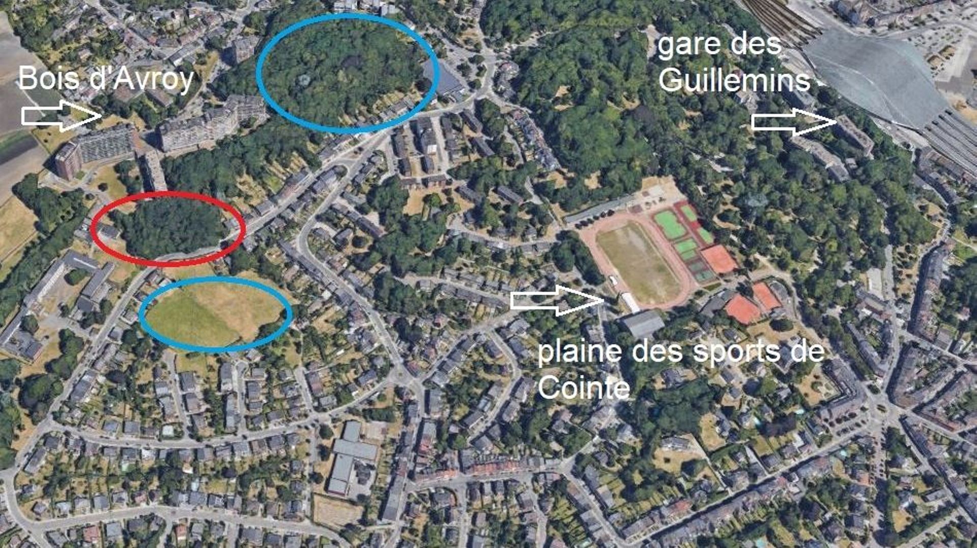 Une vue aérienne des hauteurs de Cointe: cerclé de rouge, le projet ULP-II; en bleu, deux autres demandes de lotissement dans le voisinage immédiat