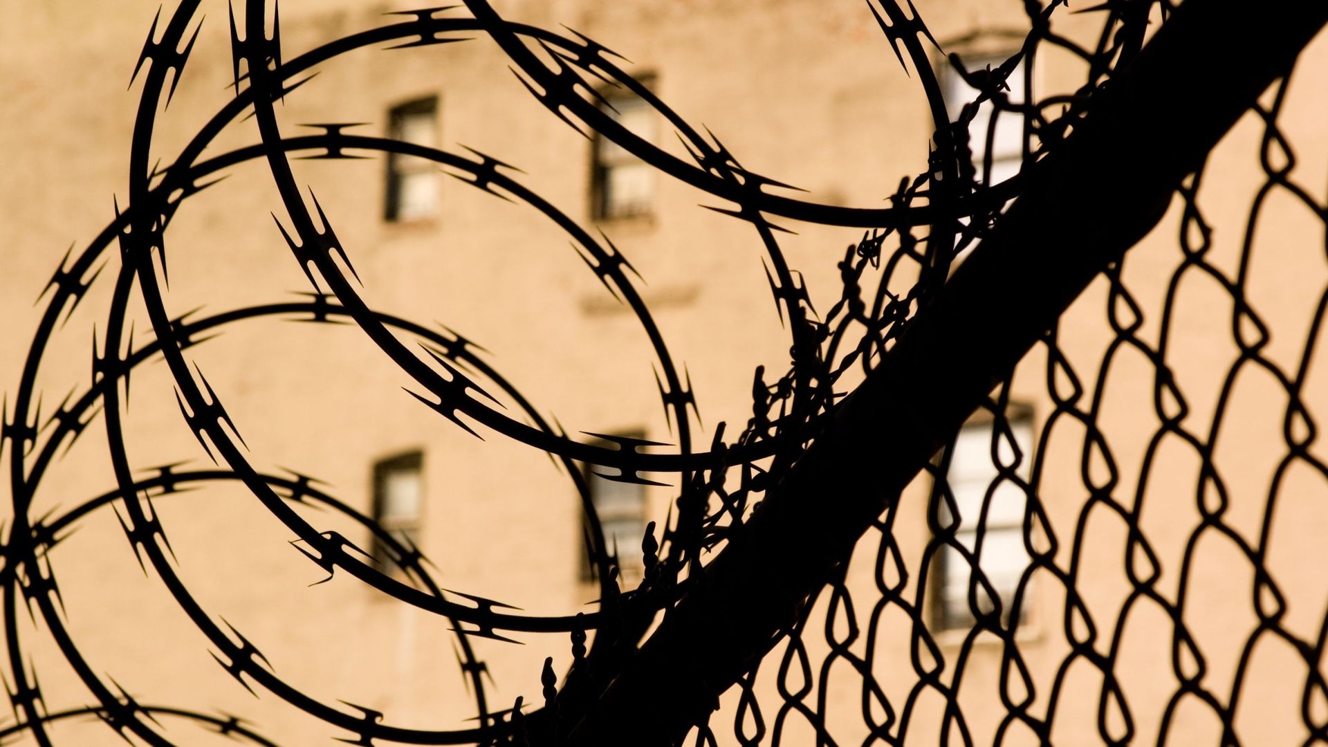 Amnesty International demande à Joe Biden de fermer le camp de Guantanamo