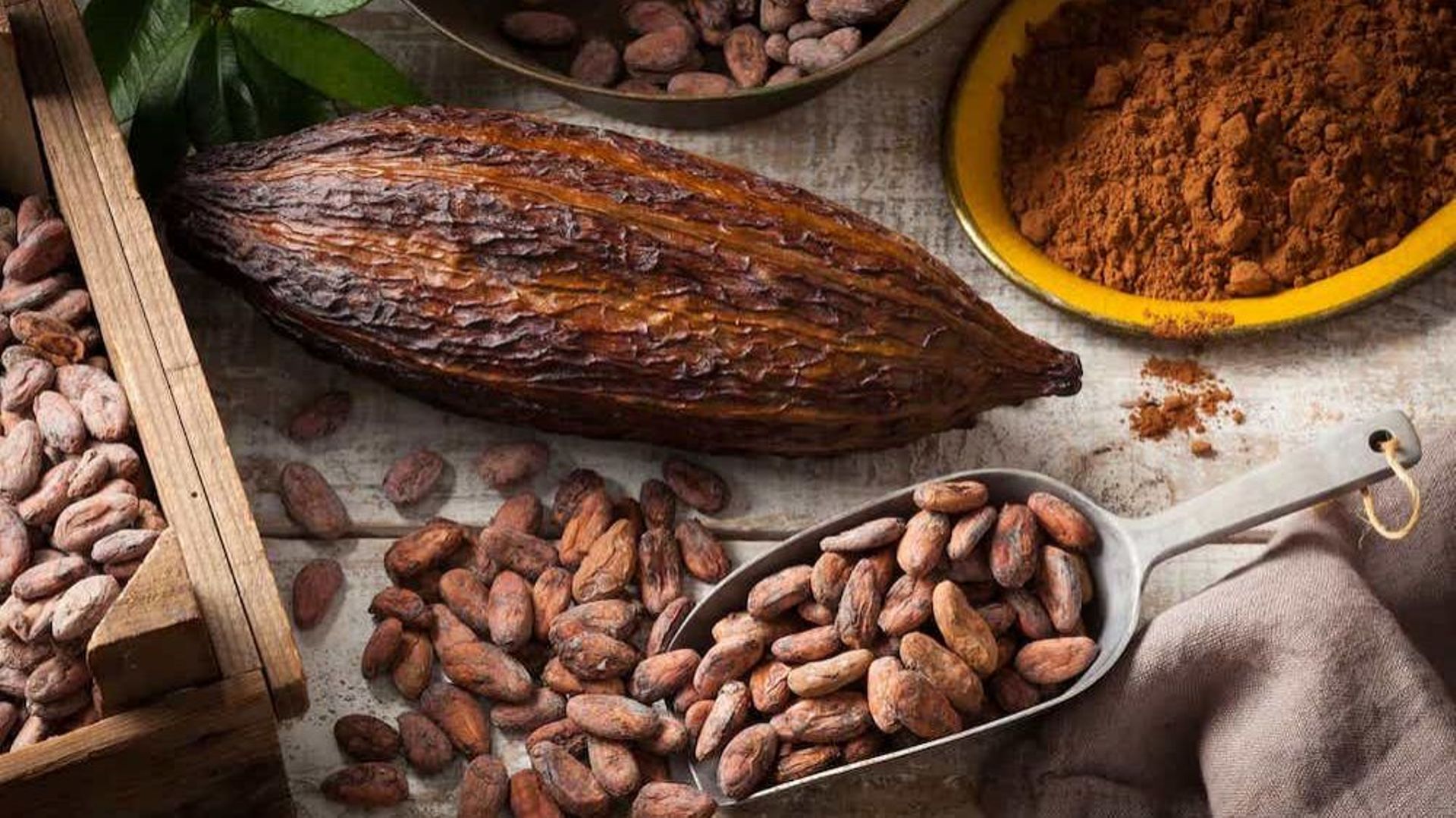 la-feve-de-cacao-un-produit-a-croquer-sans-moderation