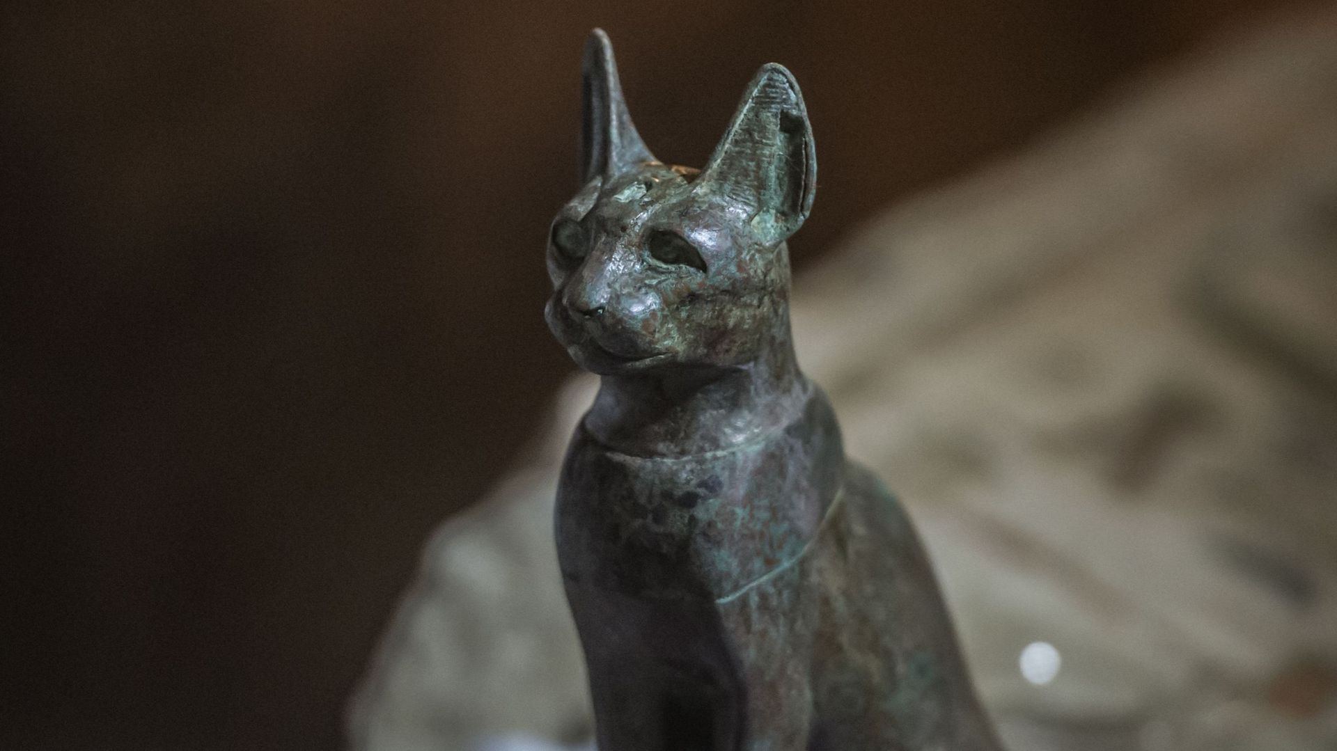 Une statue en bronze de chat assis trouvée près du complexe pyramidal du roi Userkaf dans la nécropole de Saqqarah