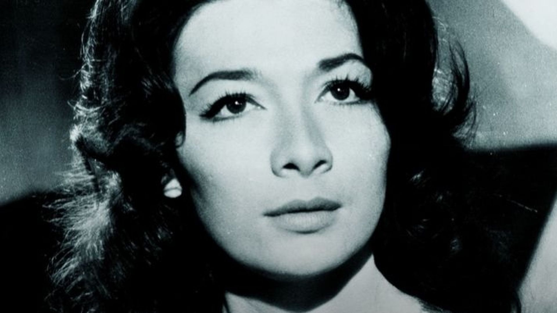 "Le monsieur et le jeune homme" : une chanson audacieuse en 1963, plutôt choquante en 2025