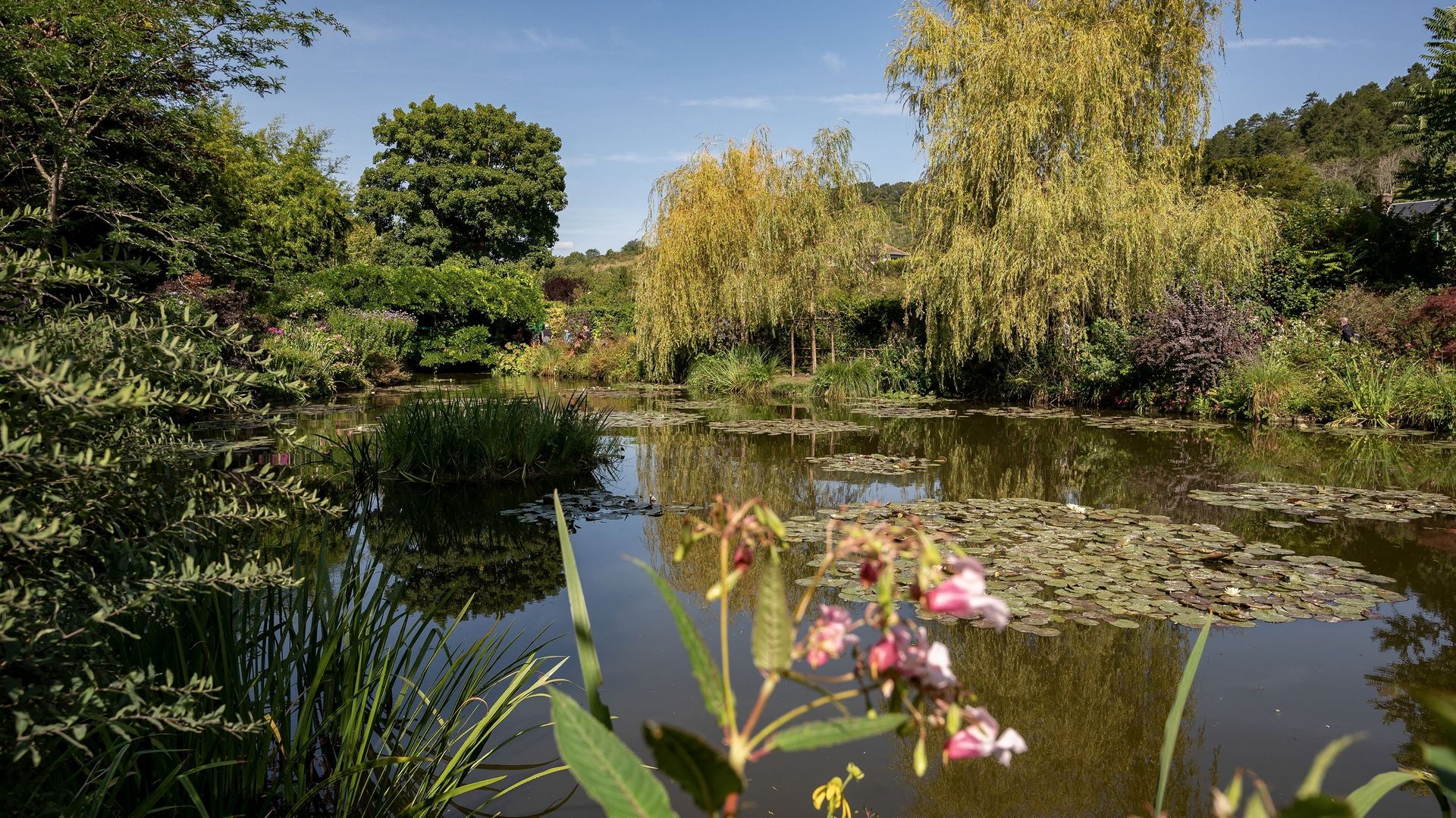 Les jardins de Monet à Giverny, au nord-ouest de Paris, étaient à l’abandon avant que des travaux essentiellement financés par des Américains.