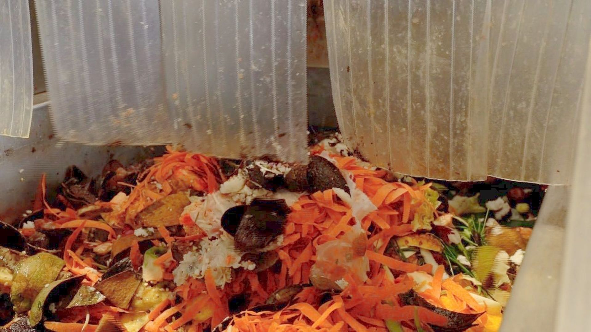 100% zéro déchet : un objectif à portée de main pour les déchets alimentaires. Photo d'illustration.