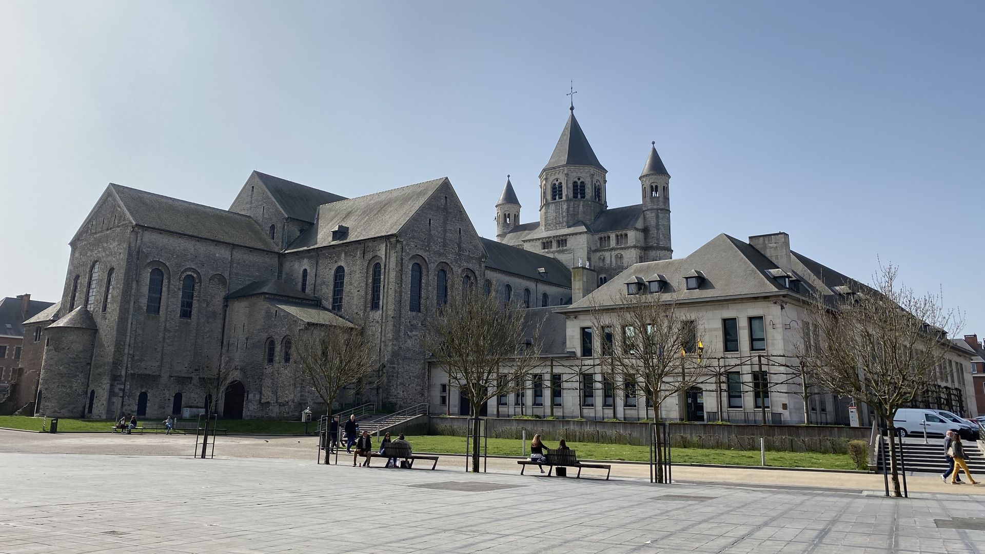Chauffage : des pellets fabriqués à partir de feuilles mortes