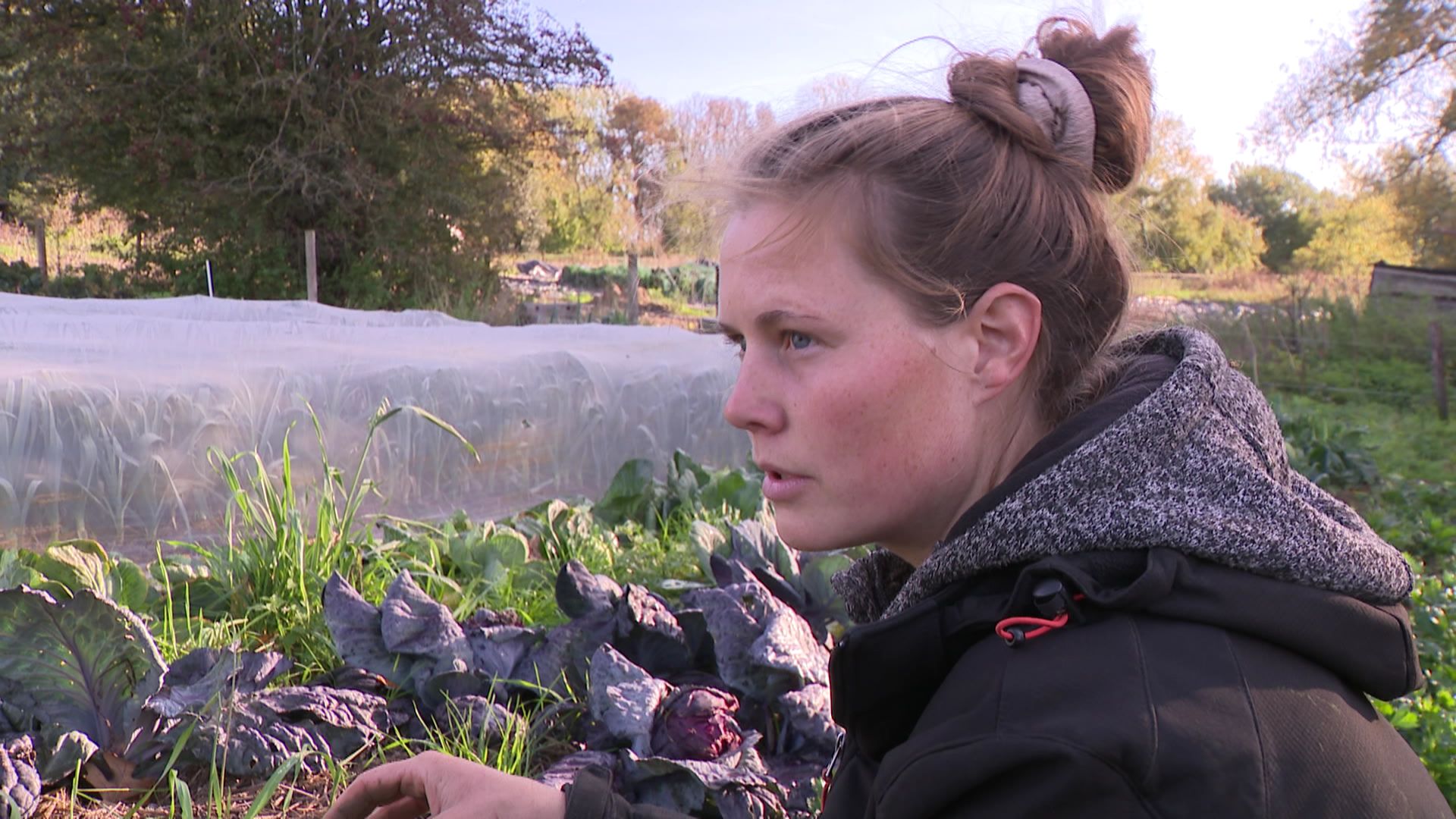 Marie Collard, maraîchère à Anderlecht et chercheuse en agroécologie à l’ULiège de Gembloux : "On nourrit le sol pour que le sol nourrisse la plante."