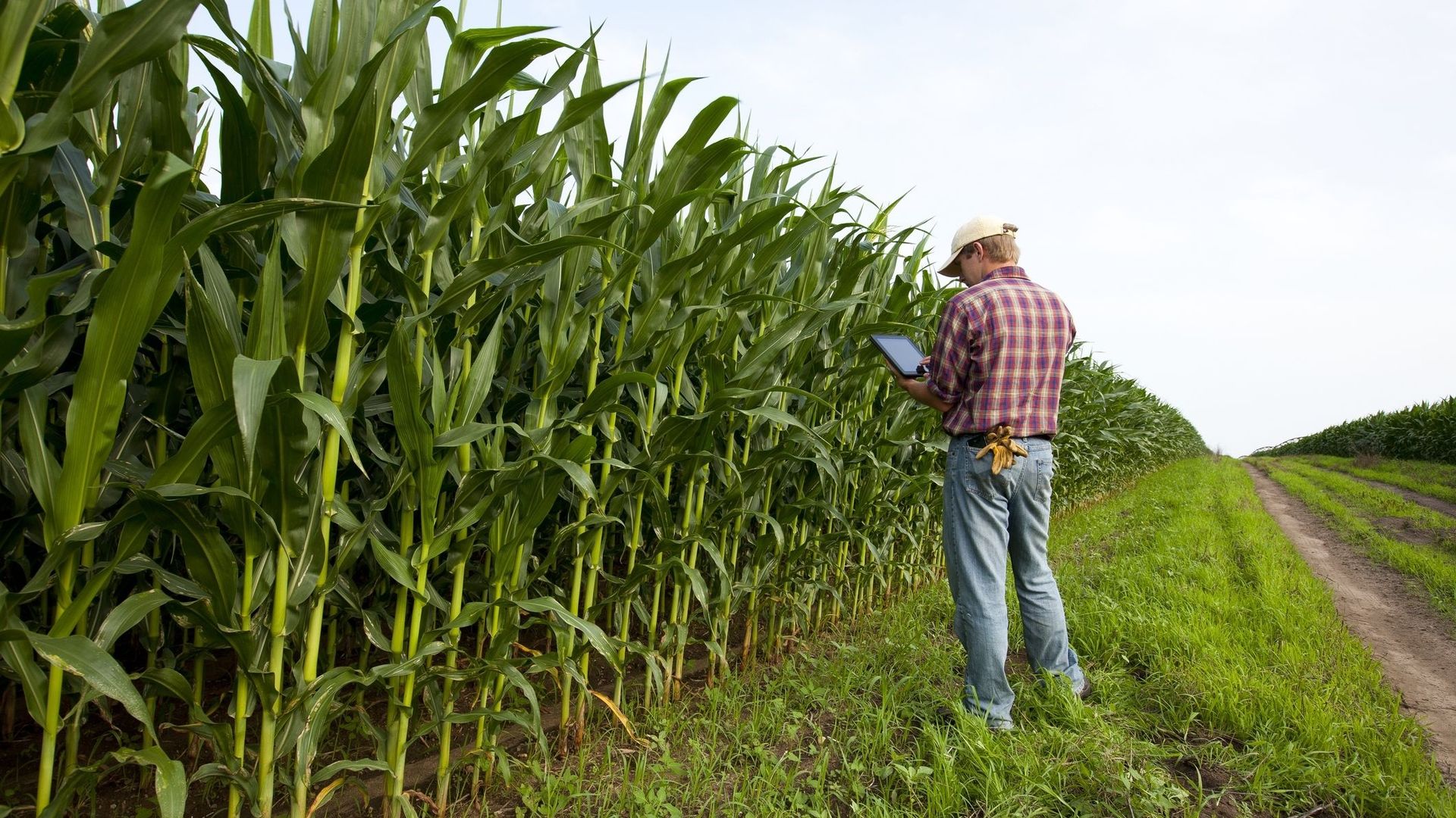 Bio ne veut pas dire sans pesticide ou sans additif.