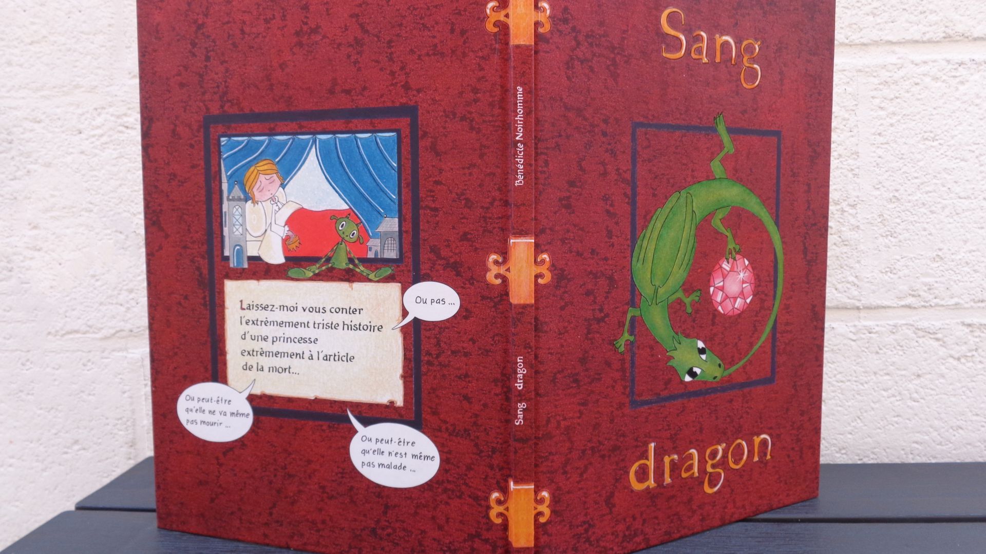 "Sang-Dragon" le livre écrit par Bénédicte Noirhomme pendant le confinement