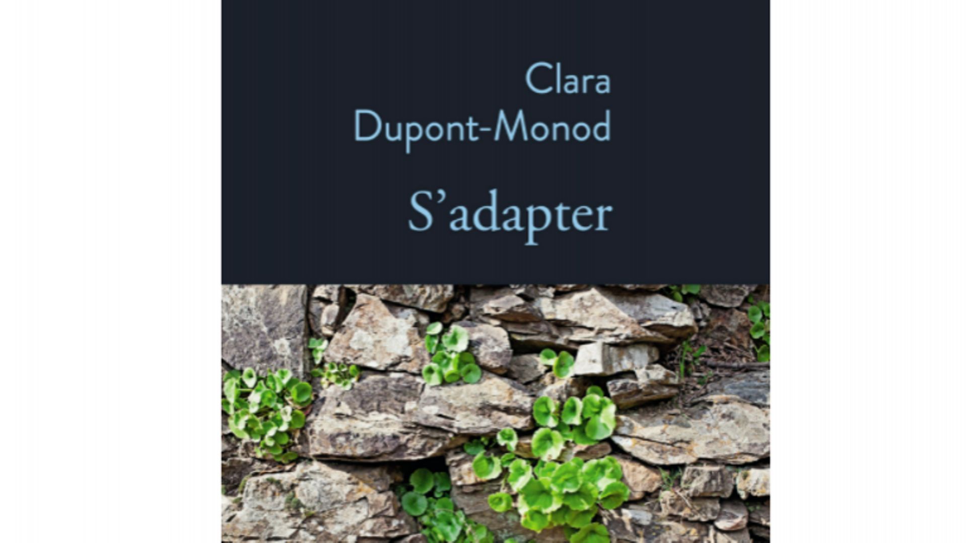 Première de couverture du roman " S’adapter " de Clara Dupont- Monod. Elle est l’auteure de plusieurs romans dont La Passion selon Juette (Grasset, 2007), Le roi disait que j’étais diable (Grasset, 2014) et chez Stock en 2018, La Révolte….