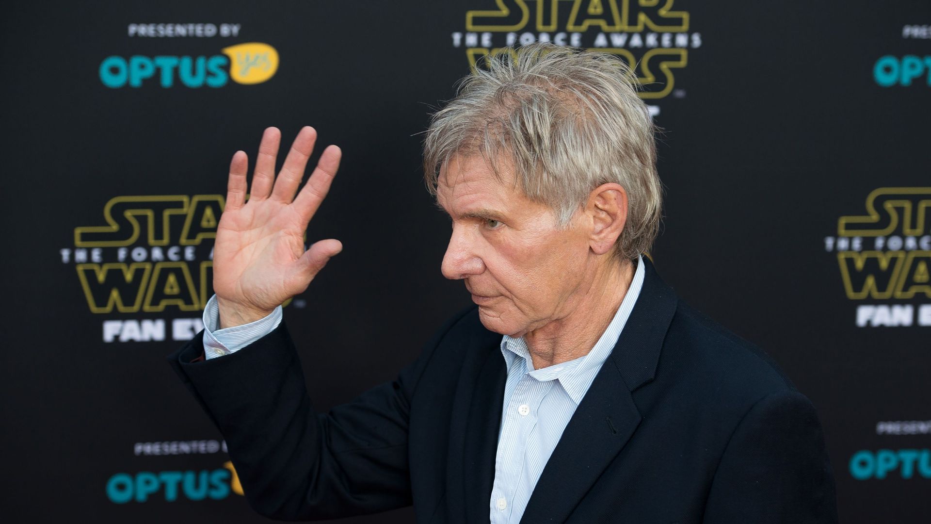 Harrison Ford est en négociation pour faire partie d'une nouvelle adaptation cinématographique de "L'appel de la Forêt" de Jack London.