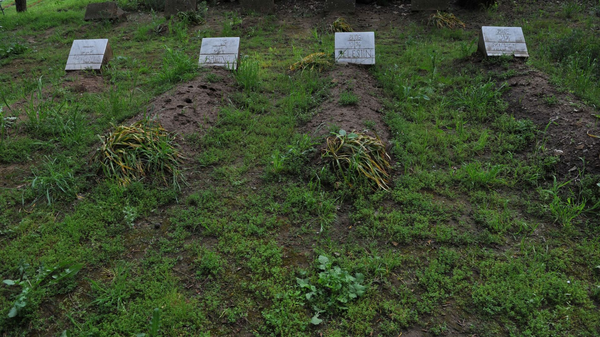 Les tombes des sept moines de Tibéhirine tués dans la nuit du 26 au 27 mars 1996.  