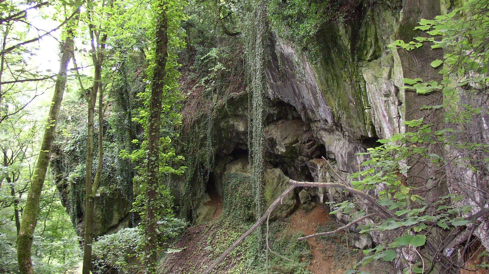 La Wallonie et le Néandertal : La Grotte de Schmerling, la genèse des recherches sur le Néandertal en Wallonie