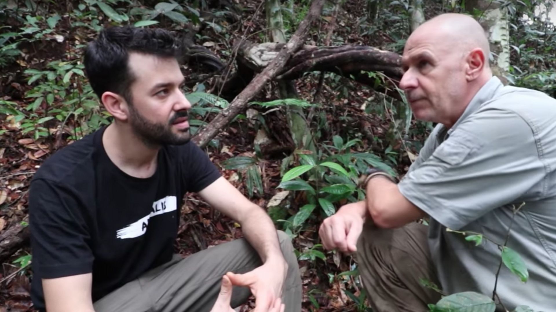 "J'ai vu le scandale de l'huile de palme" : un reportage-vlog entre YouTube et le journalisme