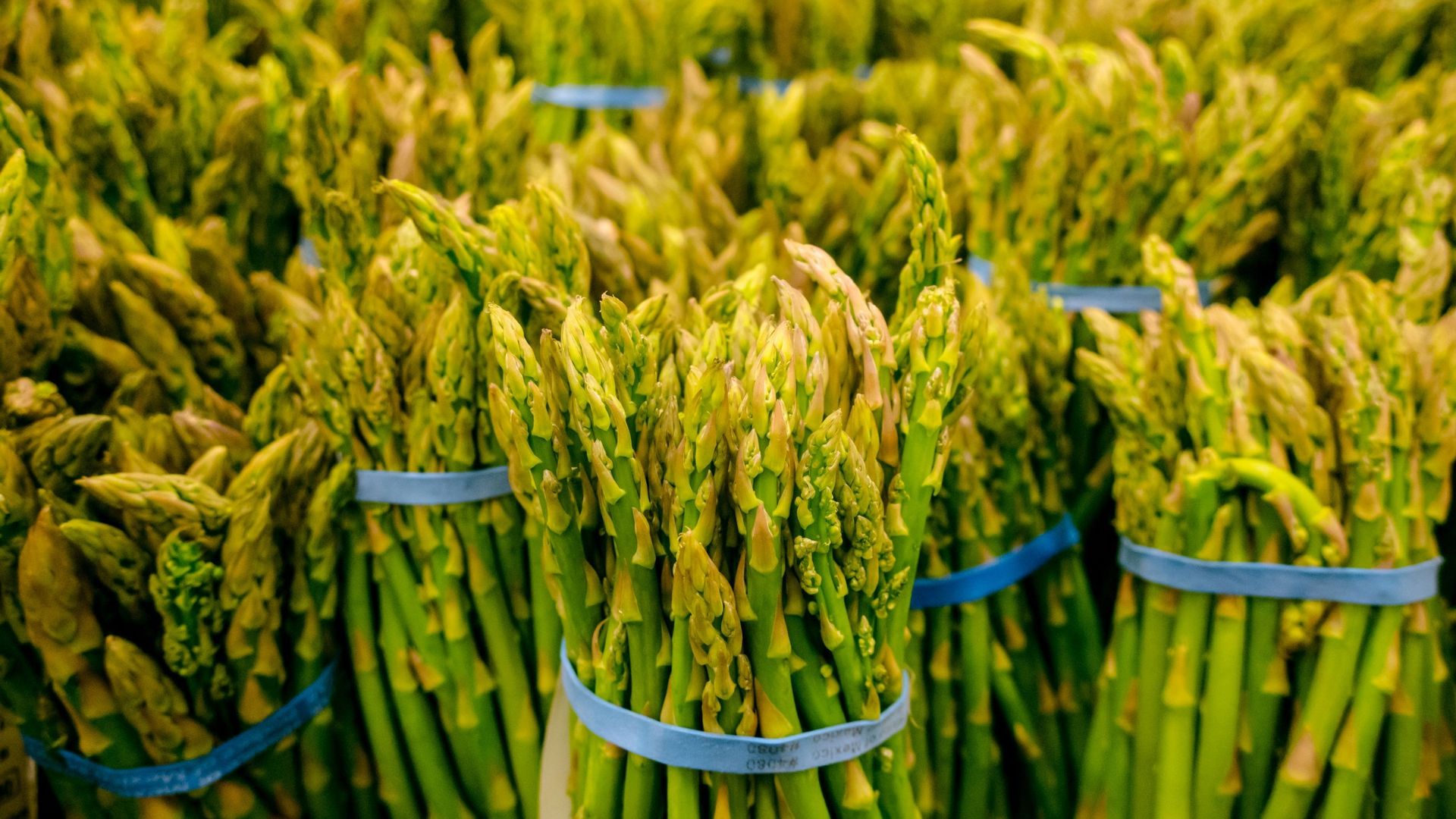 L'asperge, toute une histoire ! 