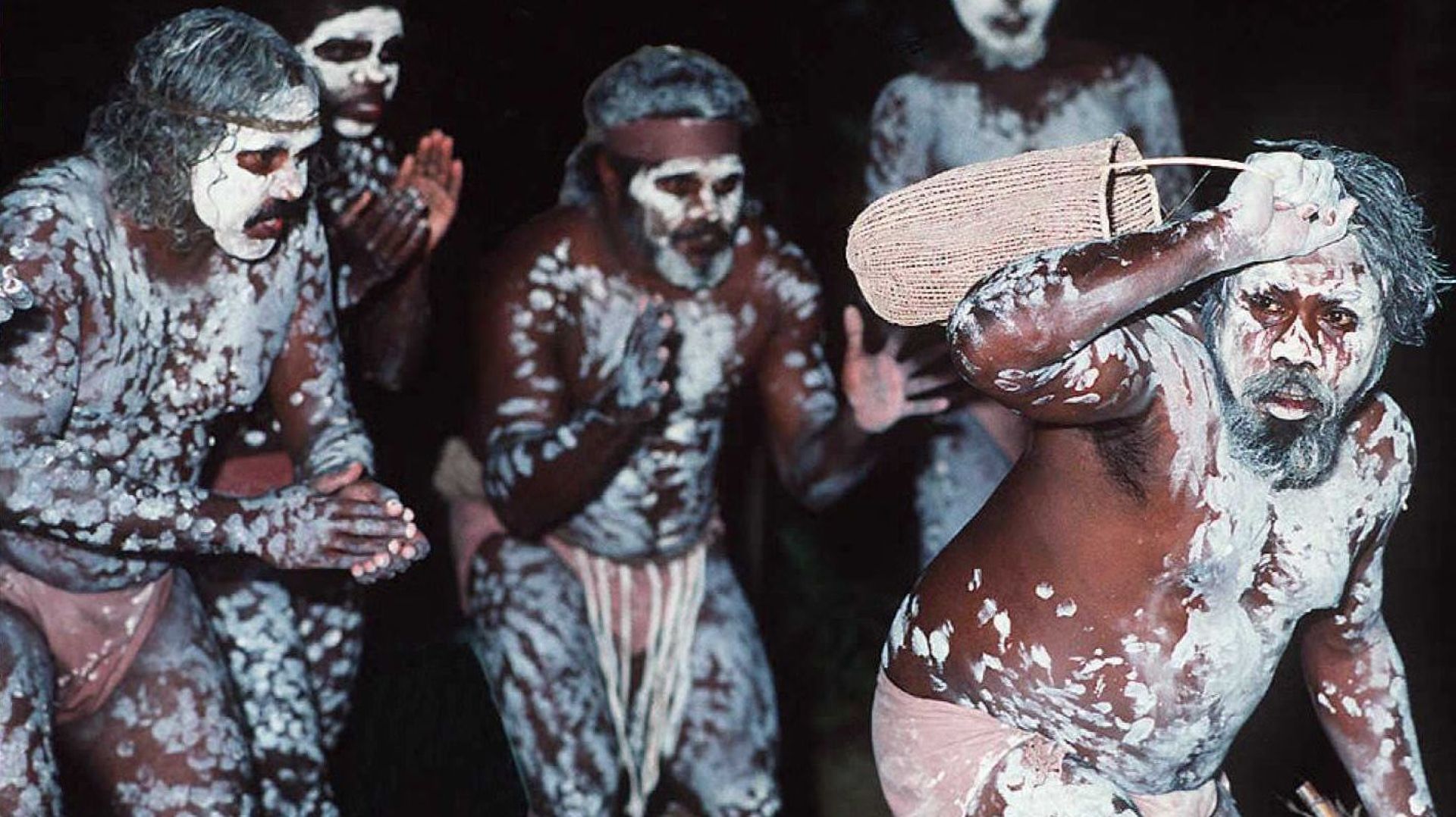 Les aborigènes du Kuku Yalanji et leur danse de la récolte du miel en 1995